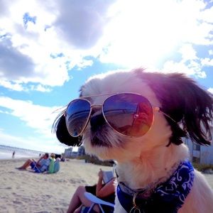 Meet your Posher, Brooke